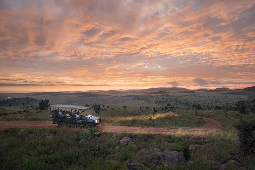 Safaris